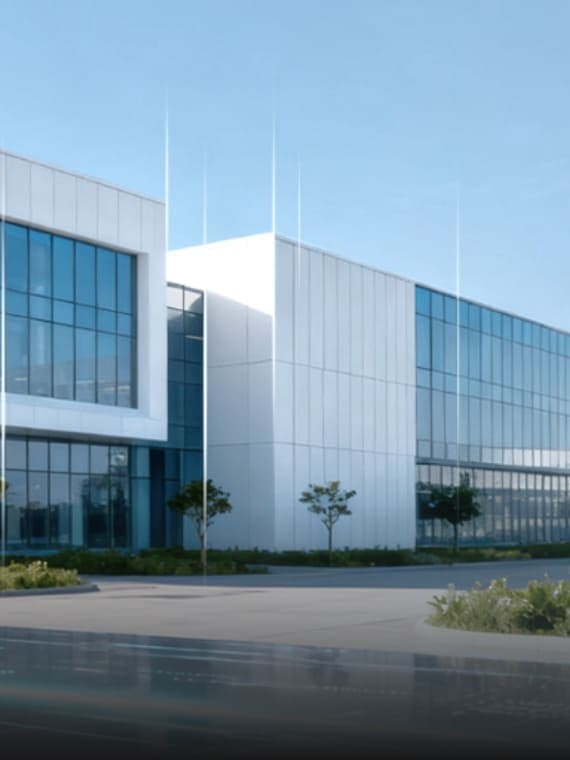 Branch networking environment